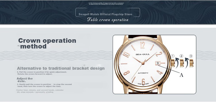 SEAGULL Men's Automatic Mechanical Watch, Bauhaus Date Display Men's Watch, Birthday Gift for Men, Model 6091 41