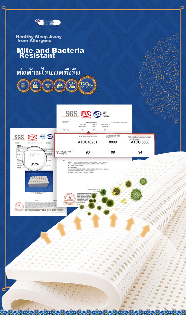 Paratex ECO Latex Mattress, 94% Content Thai Imported Natural Latex Core, Thickened Pad, 1.5x2 Meters, 7.5cm Thick 7