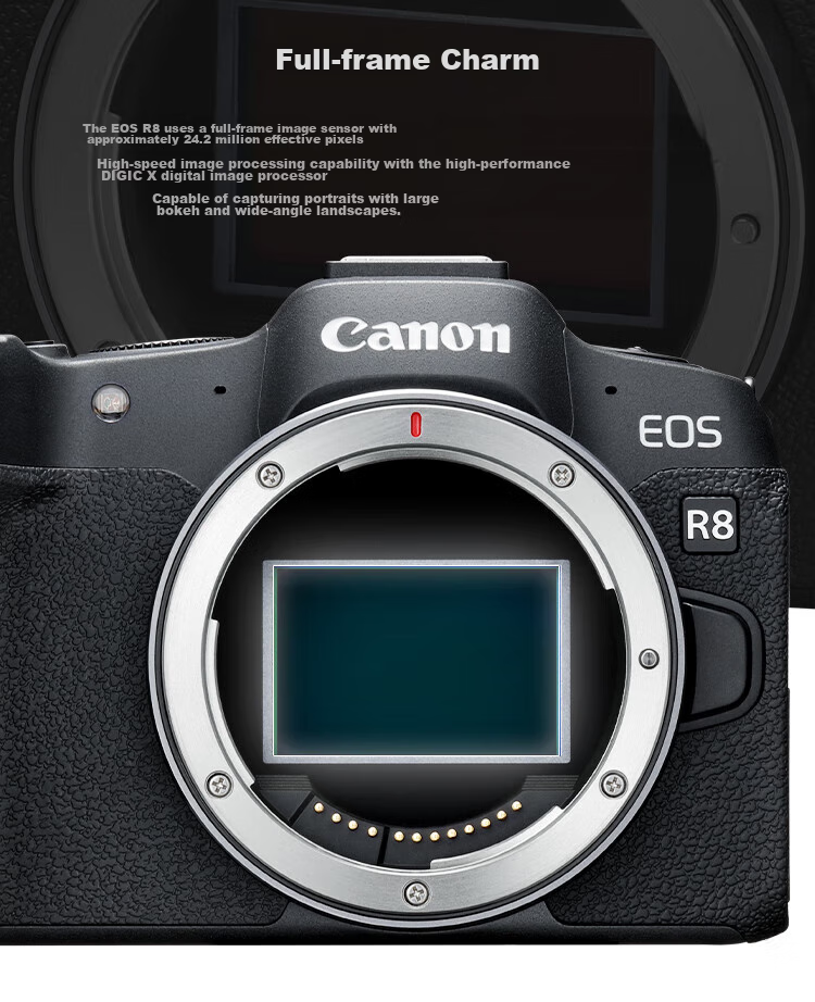 Canon EOS R8 Full-Frame Professional Mirrorless Digital Camera, 4K Vlog High-Definition Video Live Streaming Home Travel Camera, RF24-50mm Kit, Travel Fun Package 9