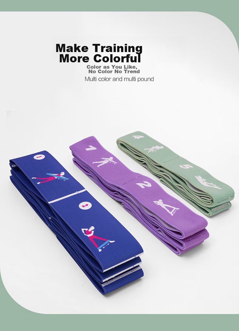 Sansha Children's Dance Elastic Band, Numbered Grid Resistance Band, Ballet Practice And Yoga Stretching Band for Adults, Purple, 11 Grids 6