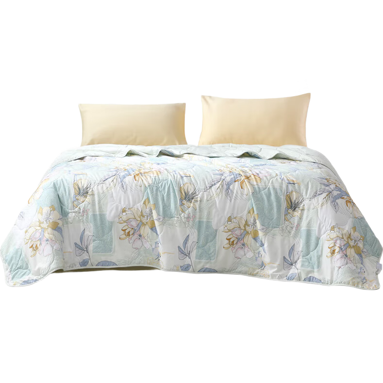 FUANNA Washable Summer Quilt, Skin-Friendly Antibacterial Air Conditioning Blanket for Two People, Summer Comforter Core 2.5 Jin (1.25 Kg), 200×230cm