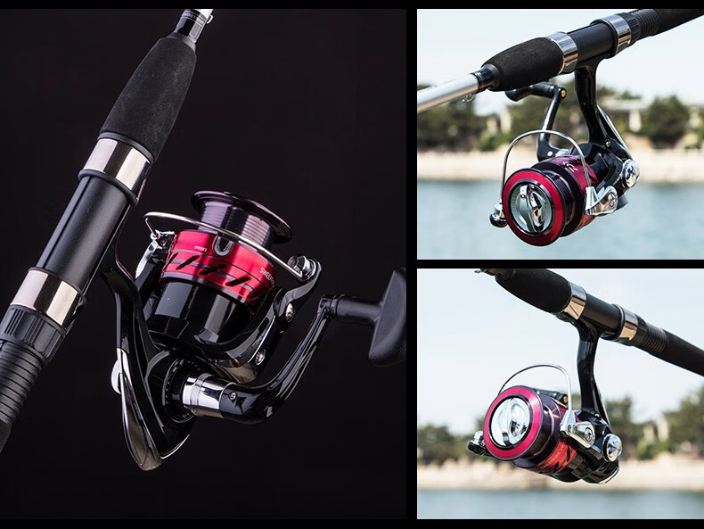 DAIWA Lure Rod Complete Set, MaRauder Spinning Rod, Carbon Fiber Casting Rod, 2.44m + Straight Handle + Spinning Reel + Lure Line 22