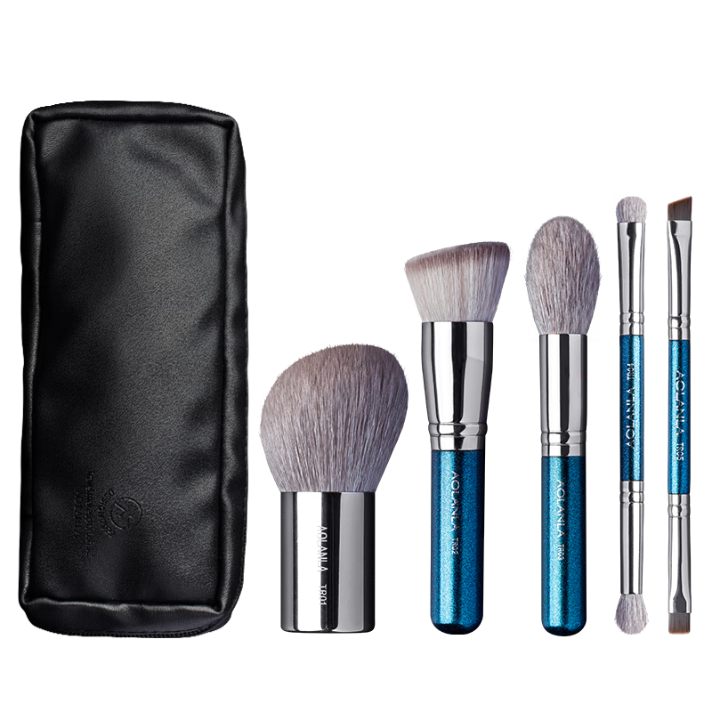AOLANLA Portable Makeup Brush Set, Small Size, 5 Beauty Tools, Foundation Powder Brush, Eyeshadow Concealer Brush, Travel Brush Case