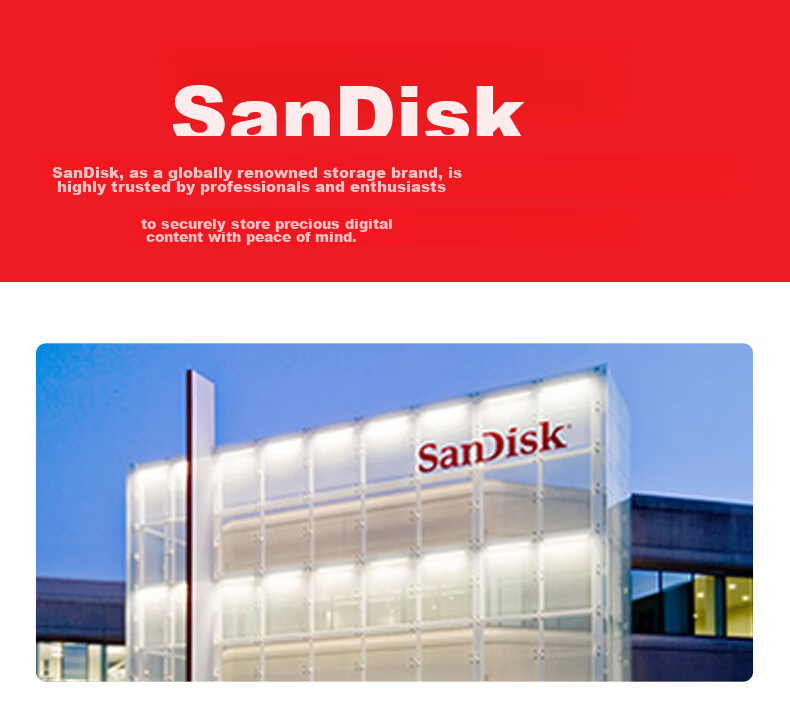 Sandisk 512GB Type-C USB3.2 Dual Drive DDC3 Purple, Read Speed up to 400MB/s, Automatic Backup, Compatible with Phones And Computers, Dual Interface High Capacity Flash Drive 11