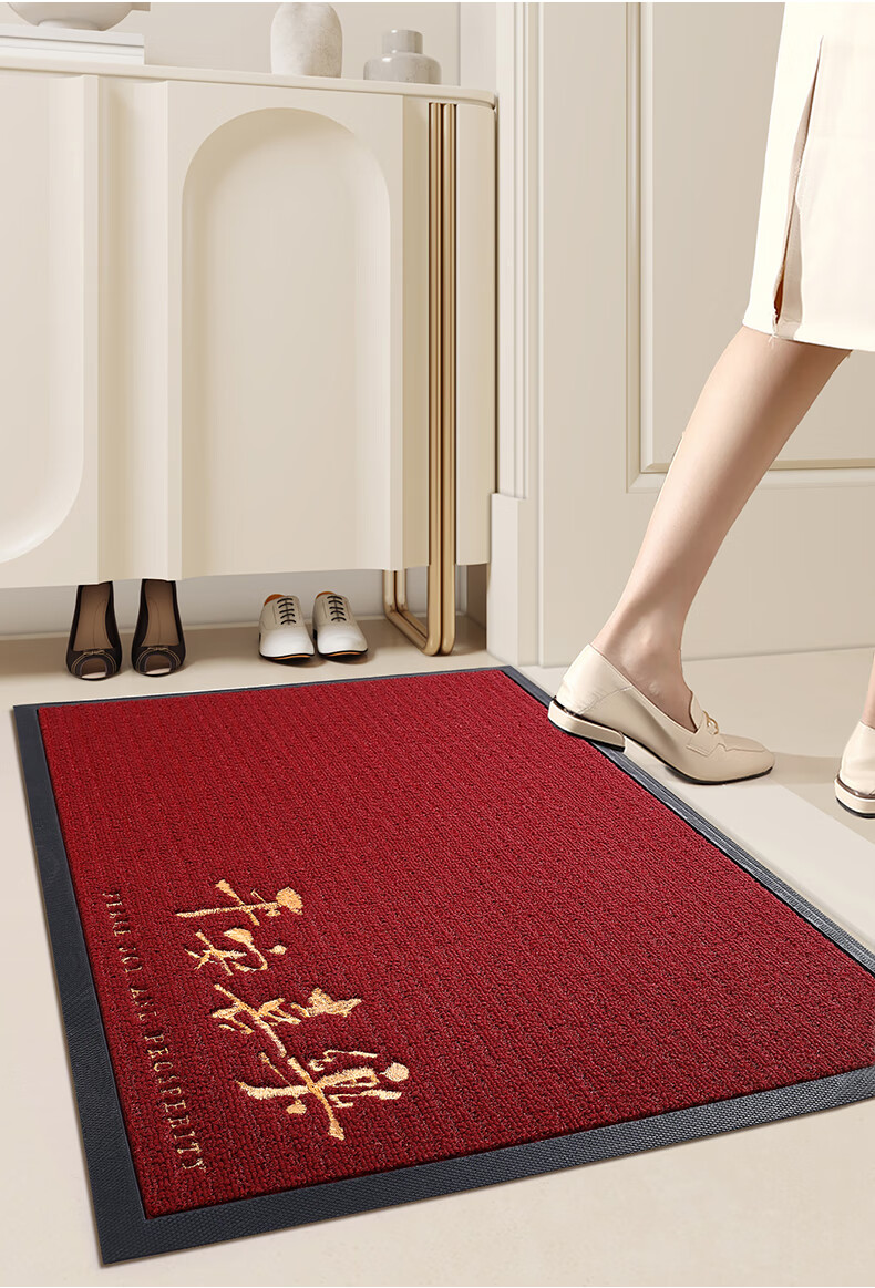 Boneng Safe Entry And Exit Doormat, High-End Entrance Mat, 2026 New Style Foot Mat, Doorway Entrance Mat, 60x90cm 16