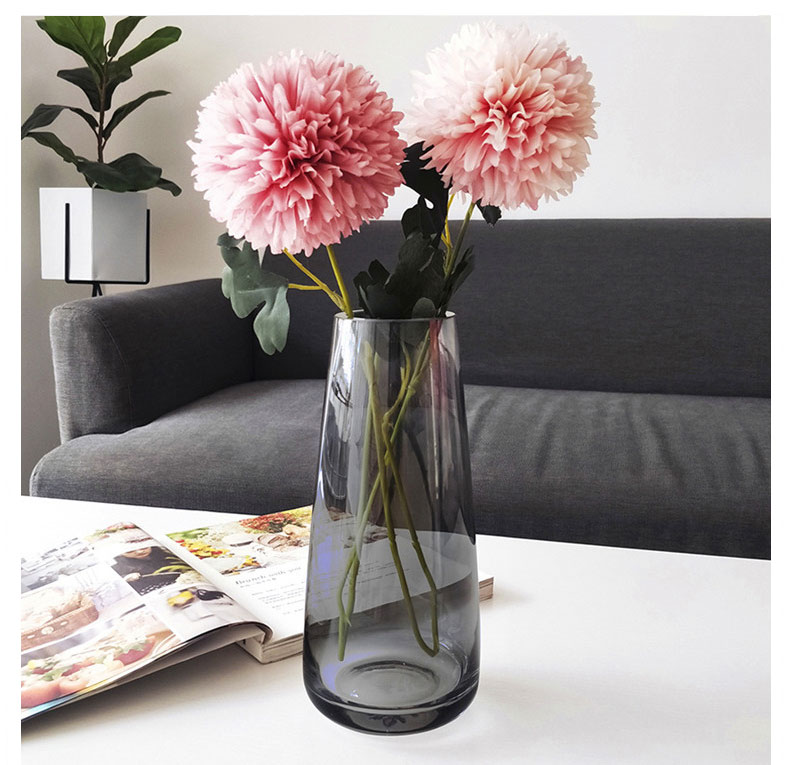 Shengshi Taibao Glass Vase Transparent Water Plant Container Flower Arrangement Vase Living Room Table Smoke Gray 22cm 11