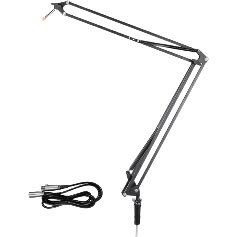 ISK 39 with Dual Cardioid Microphone Shockproof Suspension Arm Stand for Mobile Phone And Computer Live Streaming, Karaoke Recording, Voiceover Handheld Condenser Microphone with Omnidirectional Folding Suspension Arm Stand