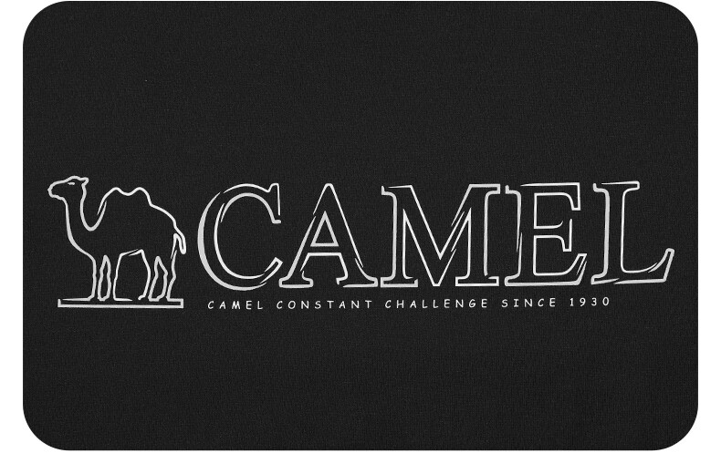 CAMEL Outdoor Quick-Dry Long Sleeve Round Neck T-Shirt for Men And Women, UPF50+ Original Yarn Sun Protection UV Protection Ice Cool Top 25