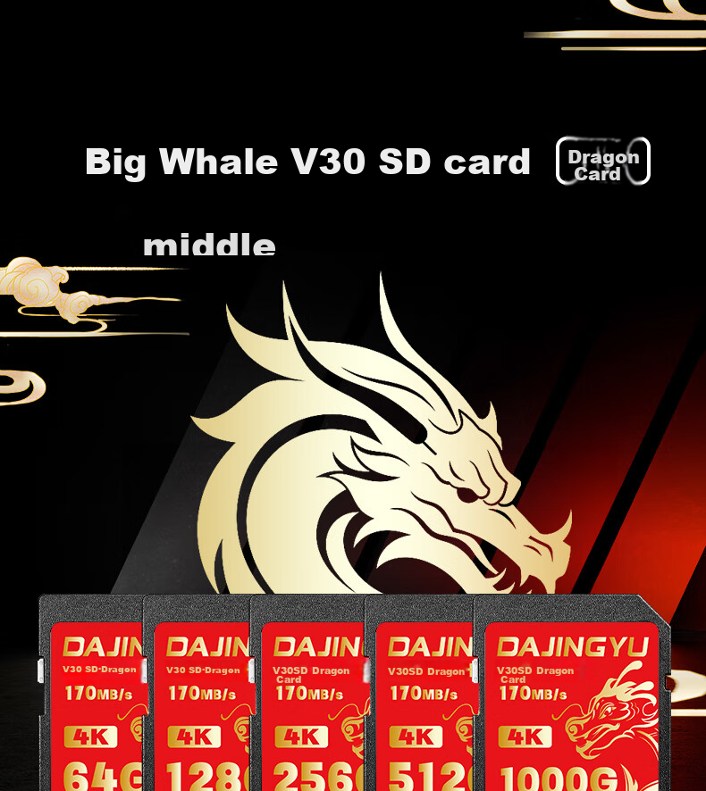 DAJINGYU Whale SD Card V30 256GB Camera Memory Card Storage Card High-Speed DSLR Storage Card Suitable for Sony A1/ZV-E1/A7M4 Nikon Canon Fuji Panasonic 1