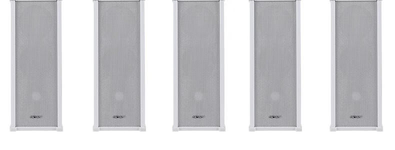 SAST 5-Inch Constant Voltage Ceiling Speaker, Background Music Public Address System, Home Theater High-Fidelity Ceiling-Mounted Speaker S4-1 15