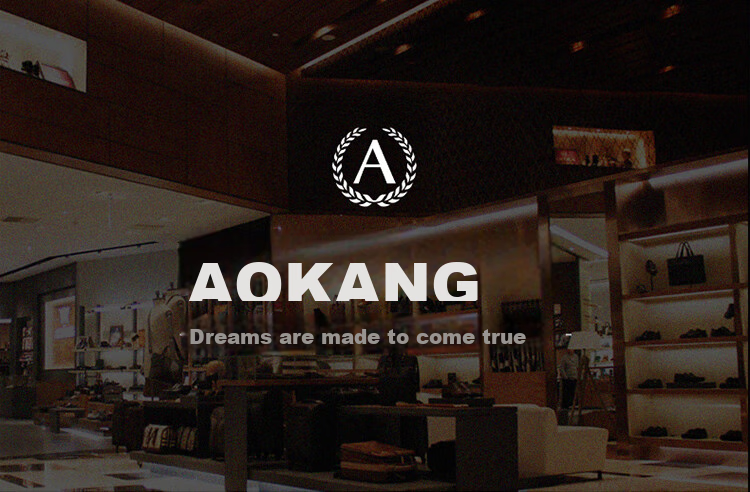 Aokang Women's Handbag, 2026 New Trendy Small Square Bag, Light Luxury Crossbody Shoulder Bag, Birthday Mother's Day Gift for Mom Or Wife 1