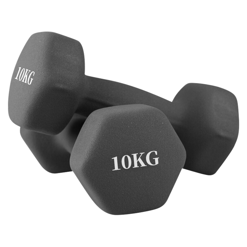 Chengyue Color-Coated Dumbbells for Men And Women, Home Fitness Shaping Equipment Set, 10kg*2 Black And Gray CY-533