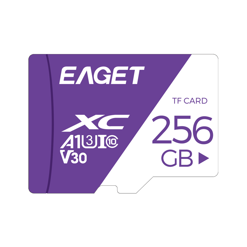 EAGET 256GB TF (MicroSD) Memory Card, A1 U3 V30 4K, Xiaomi Surveillance Camera & Dash Cam Memory Card, High-Speed And Durable
