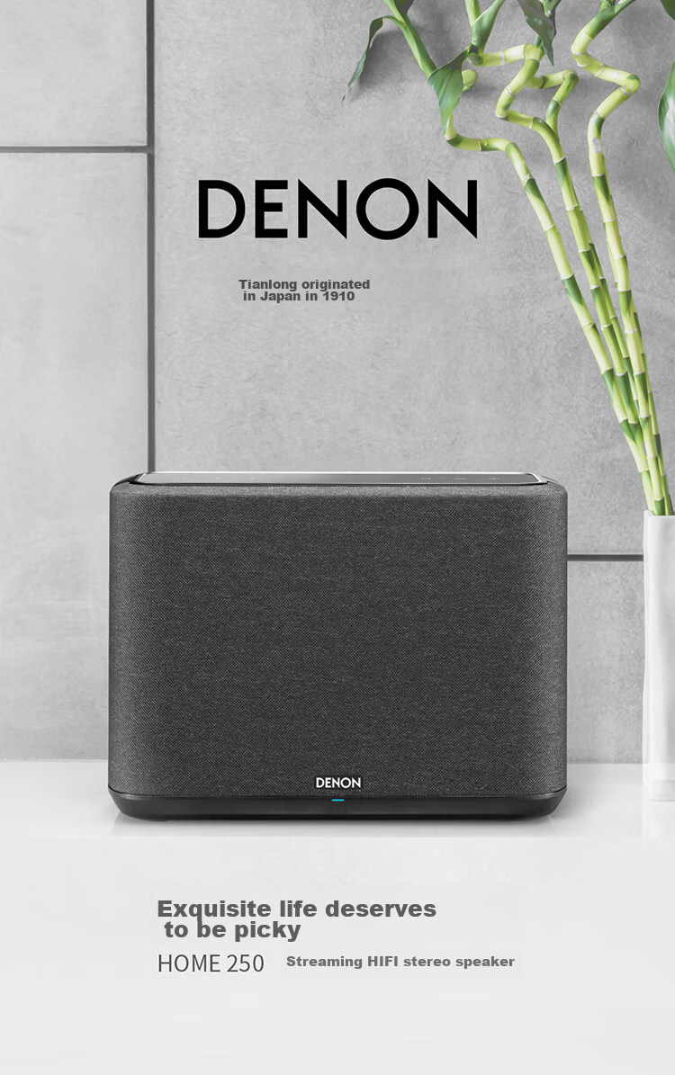 DENON HOME 250 Wireless Bluetooth Speaker, Hi-Fi Sound System, WiFi Bluetooth USB Stereo Pairing, Aux And Multi-Room Music, White Graduation Gift, Father's Day Present 3