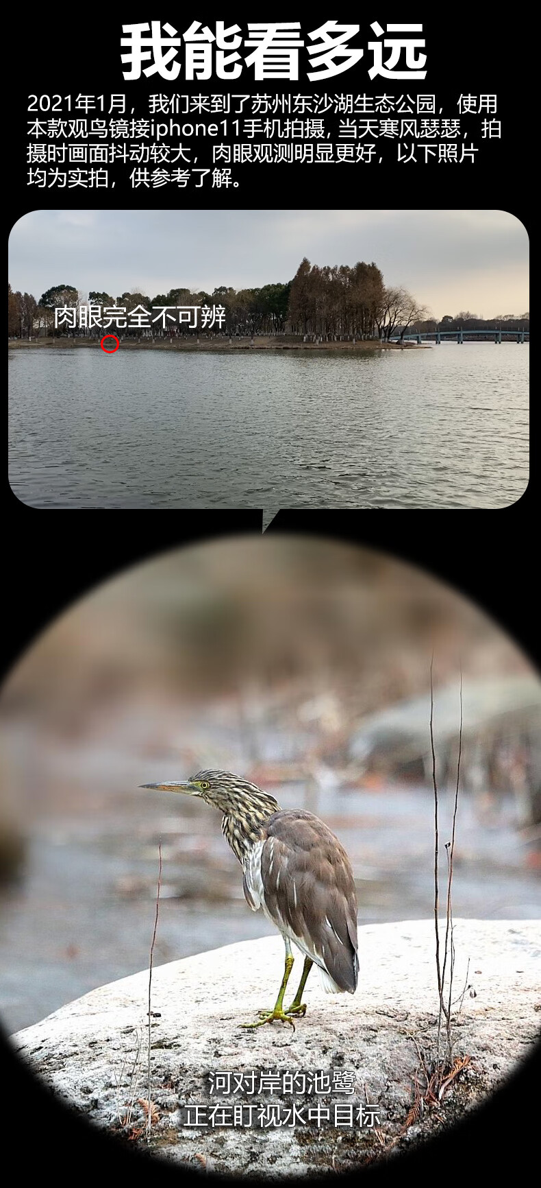 SAGA Professional Variable Zoom Birdwatching Telescope 20-60x High Power HD Spotting Scope Compatible with DSLR and Smartphone 8