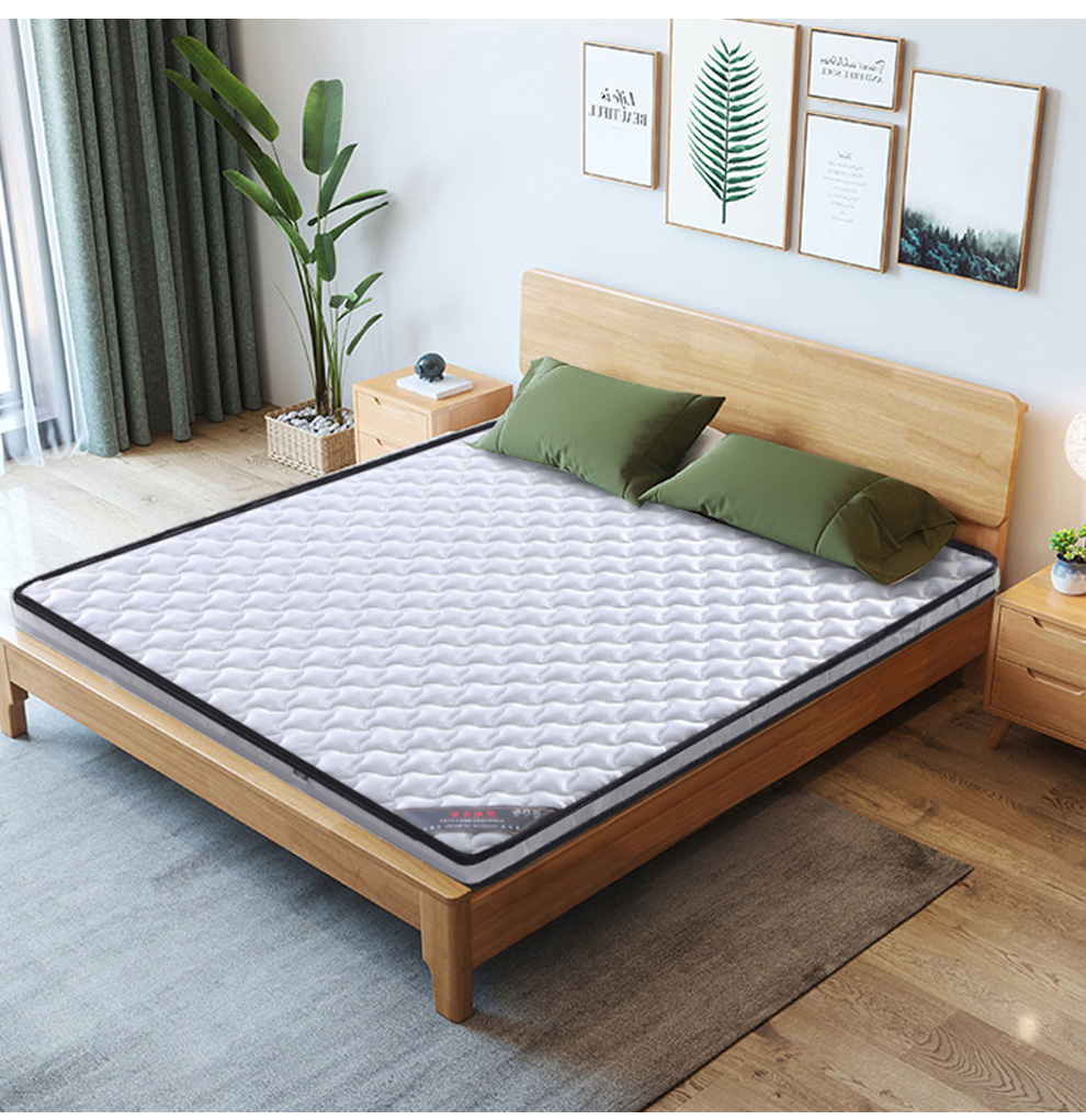 韵友(yun you) 卓名 天然椰棕床垫硬棕垫薄款可折叠学生宿舍榻榻米