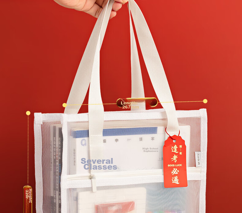 M&G Tutoring Bag, Double-Layer Mesh, Large Capacity, Multifunctional Handbag, Art Storage Bag, for Postgraduate Entrance Exam And Civil Service Exam, Book Carrier AGW910D3, 1 Piece 17
