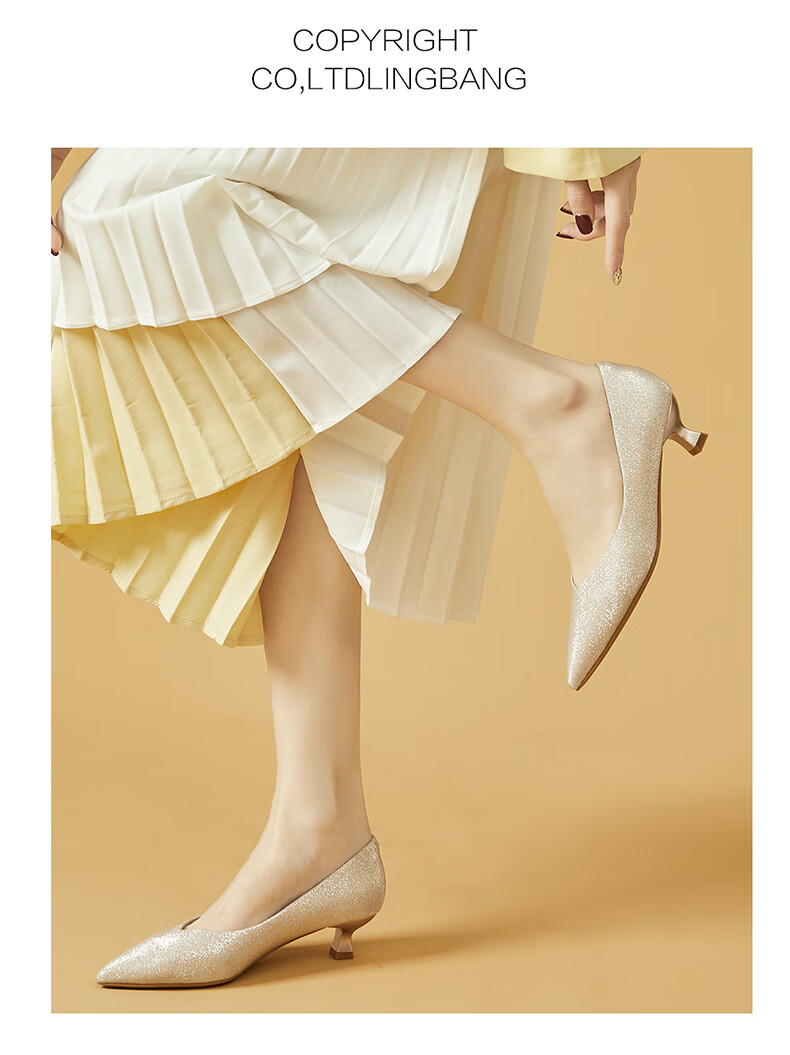 DAPHNE Champagne Silver Wedding Shoes for Women, Pointed Toe Stiletto Elegant Low-Cut Women's Pumps 4623101027 Champagne Color Size 38 5