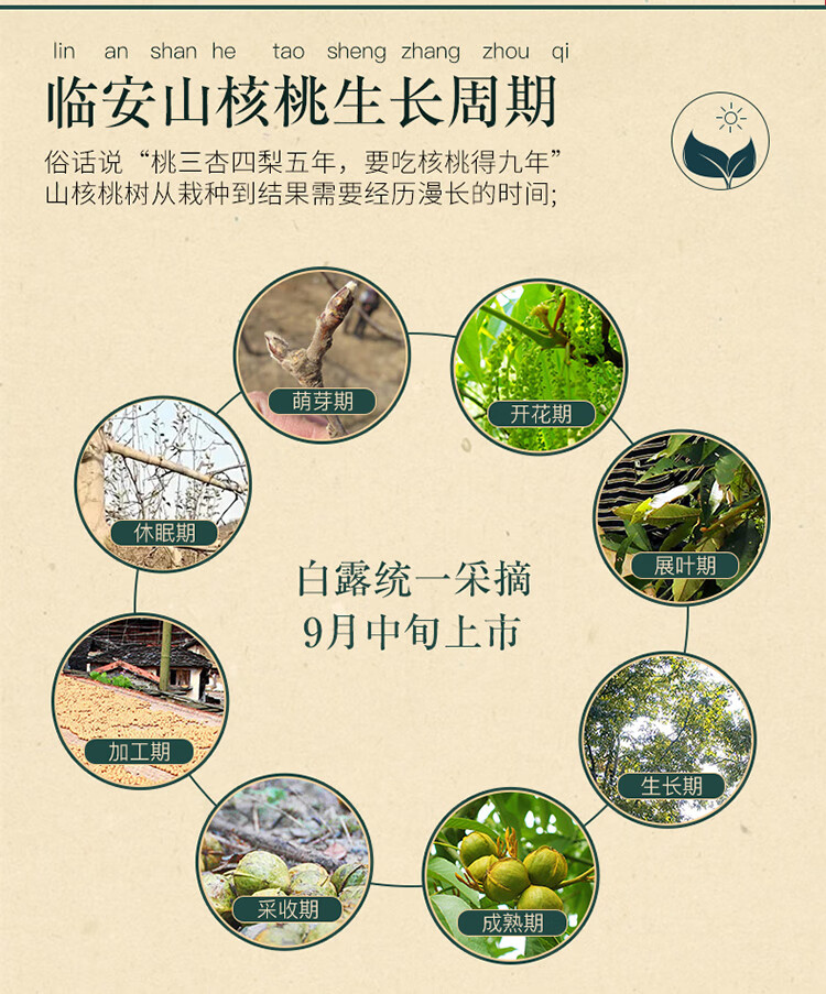 图片破损