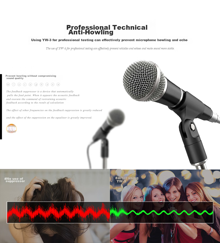 SHILE YW-3 Professional Feedback Suppressor, Professional Microphone, Automatic High-Speed KTV, High-Power Audio Equipment, Conference Room Gooseneck Microphone, Anti-Howling Processor 6