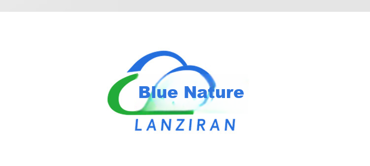 LANZIRAN Disposable Tableware Plates, Large Fish Plates, 20 Pieces, Sugarcane Pulp Paper, Biodegradable, for Group Dining, Barbecue, Picnic, Camping Plates 11