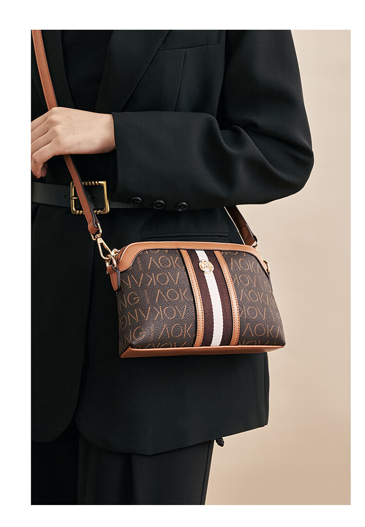Aokang Women's Handbag, Trendy Retro Small Square Bag, Light Luxury Crossbody Shoulder Bag, Birthday And 520 Gift for Girlfriend Or Wife 7