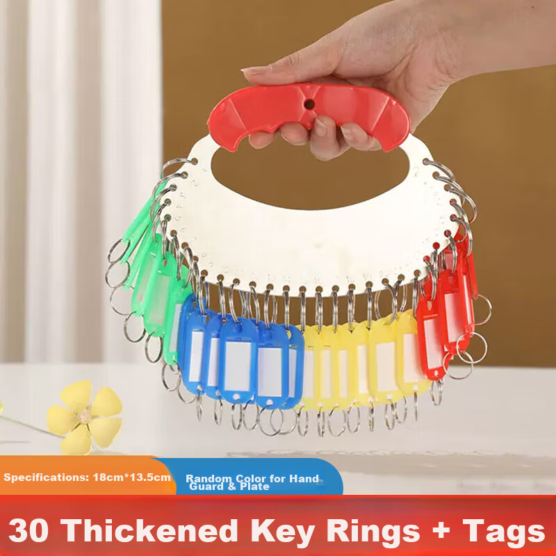 Ouliwen Key Ring Tray, Landlord Mark Number Management, Keychain Key Ring, Key Chain Key Ring, Storage Organizer Key Classification Tool, 30 Slots with Tags