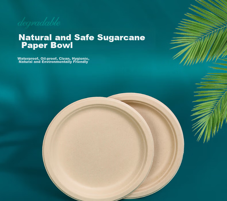 LANZIRAN Disposable Tableware Plates Large Size 9 Inch * 20 Pieces Natural Color Sugarcane Pulp Biodegradable Paper Plates for Picnic And Camping 1