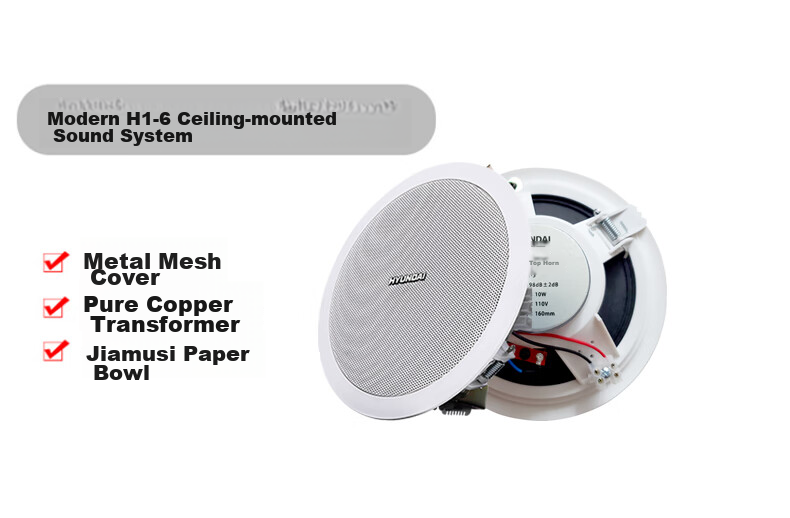 HYUNDAI HYUNDAI N4 Wireless Bluetooth Ceiling Speaker Set, Home Theater Suspended Ceiling Speakers for Living Room And Conference Rooms (Requires Transmitter for Use) 7