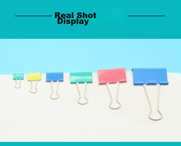 DL DINGLI Long Tail Clip, Colorful Ticket Clip, Metal File Folder, Student Book Clip, Exam Paper Clip, Office Supplies, Stationery, Office Ticket Clip, Binder Clip, 4#25mm, 48 Pieces, DL6064 5