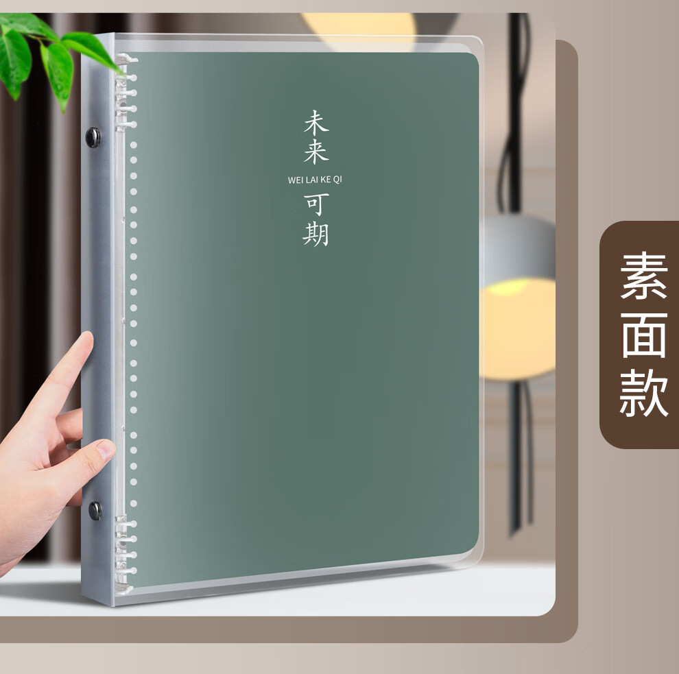 Faramon B5/80 Loose-Leaf Notebook, Comfortable to Hold, Detachable And Replaceable Inner Pages, Thickened for Students' Research And Exams, Error Correction Booklet, B5 Ruled - Looking Forward to The Future 5