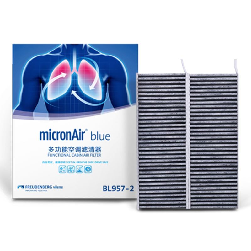MICRONAIR Blue Lung Air Conditioning Filter BL957-2, Suitable for Peugeot C5 X, Citroen 508L, 408, 4008, 308 ES600