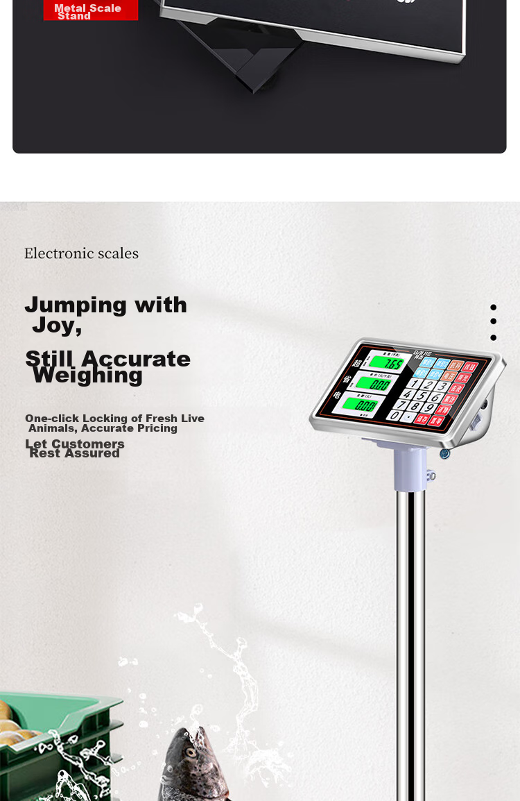 BJ (Baijie) Stainless Steel Electronic Scale Platform Scale Pricing Scale Express Scale Weighing Scale 300KG Stainless Steel Color 10