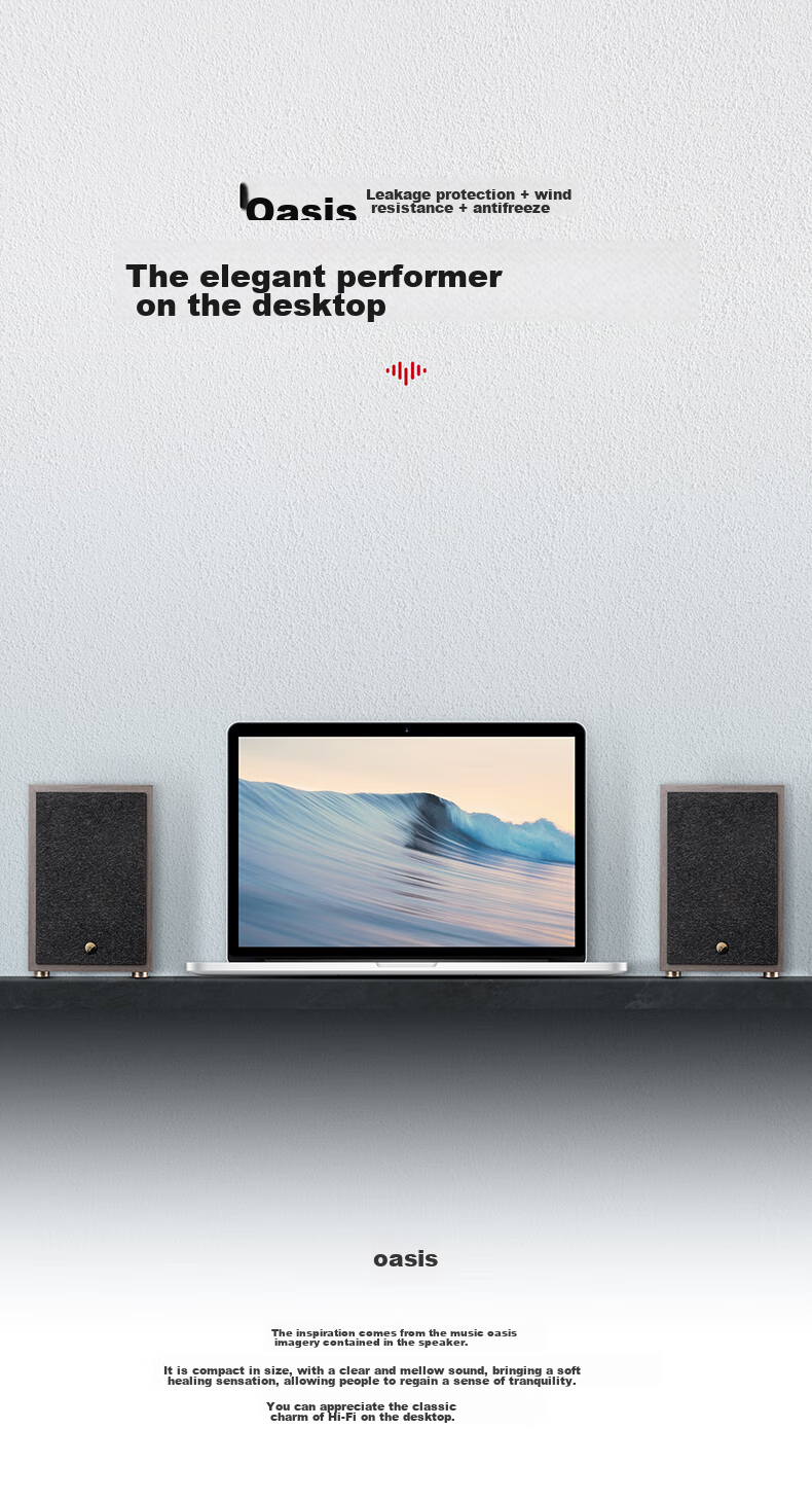 HiVi Oasis Passive HiFi Speakers, High-Fidelity Bookshelf HIFI Audio System for Living Room, Study, TV And Computer, Requires Amplifier 1