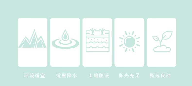 详情图.png