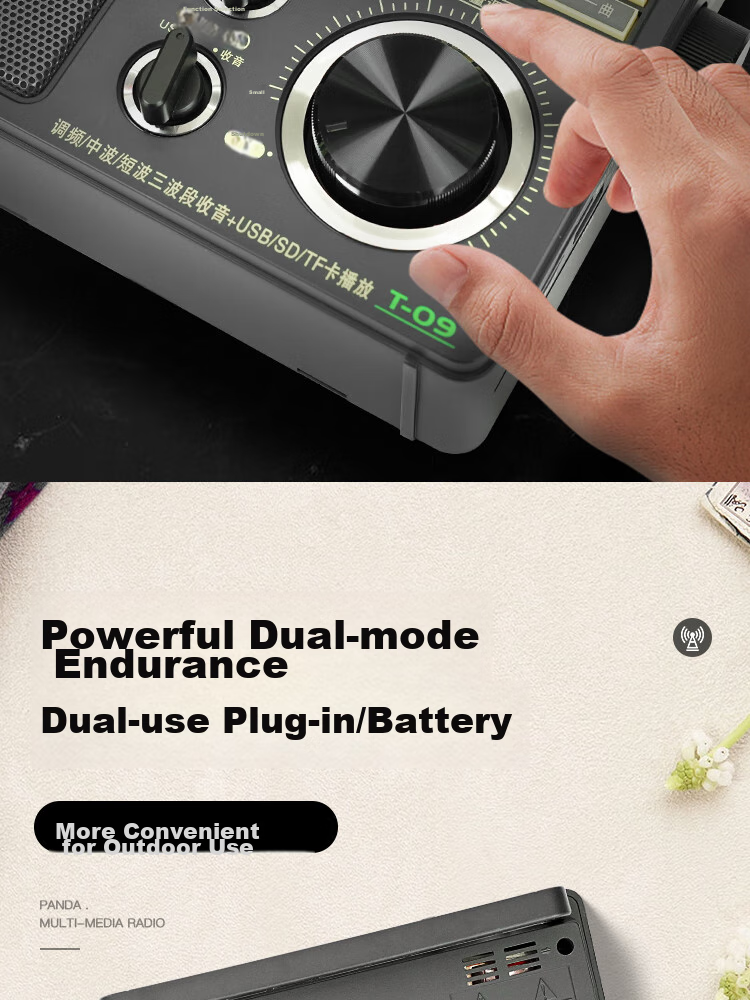 Panda T-09 Traditional Large Desktop All-Band (USB, SD Card) Speaker for Elderly Gift, Card-Insertable Semiconductor Battery AC/DC Radio 8