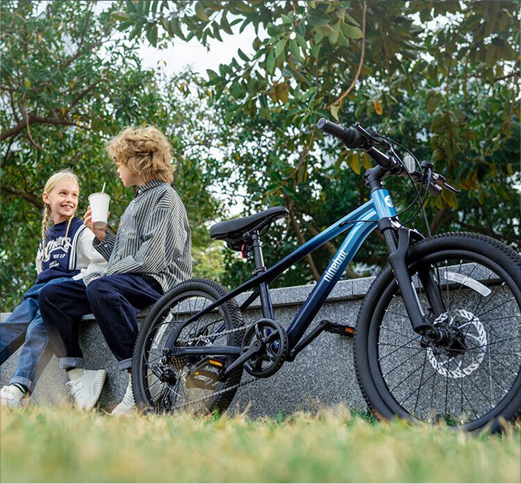 Ninebot Bicycle Aluminum Alloy All-Terrain Blue 20-Inch Suitable for Height 115-145cm 16