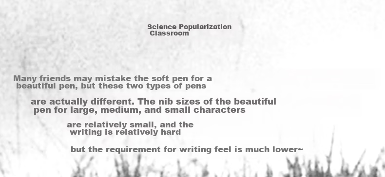 HERO Fountain Pen-Style Brush Pen 2061, Soft-Tip Medium Regular Script Calligraphy Pen with Refill, for Adult Beginners And Students, Black 10