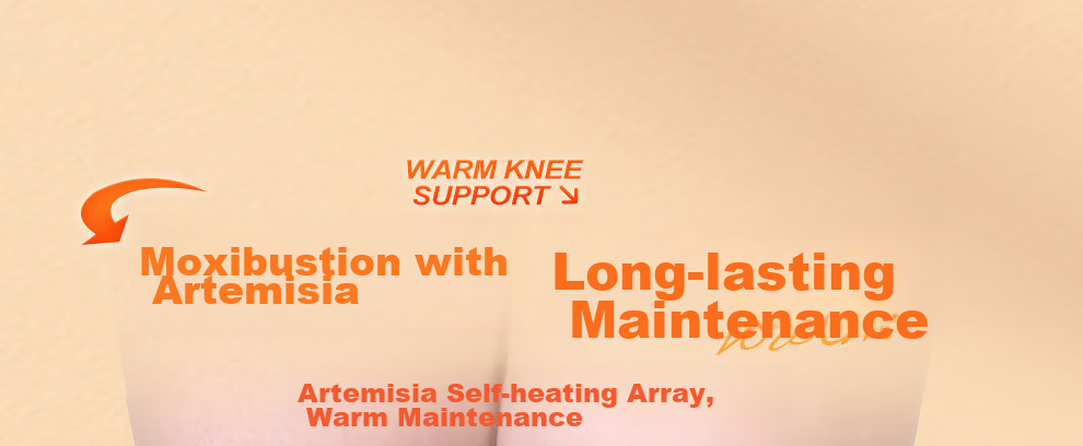 PROIRON Puli'ai Knee Warmer, Warm And Cold-Proof, Wool And Mugwort Self-Heating, for Middle-Aged And Elderly Men with Cold Legs, Knee Protector, XL Size 16