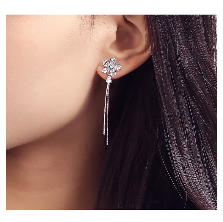 Dijing 925 Silver Long Tassel Earrings, Hoop Earrings, New Style Studs, Birthday Gift for Women, Present for Girlfriend 2