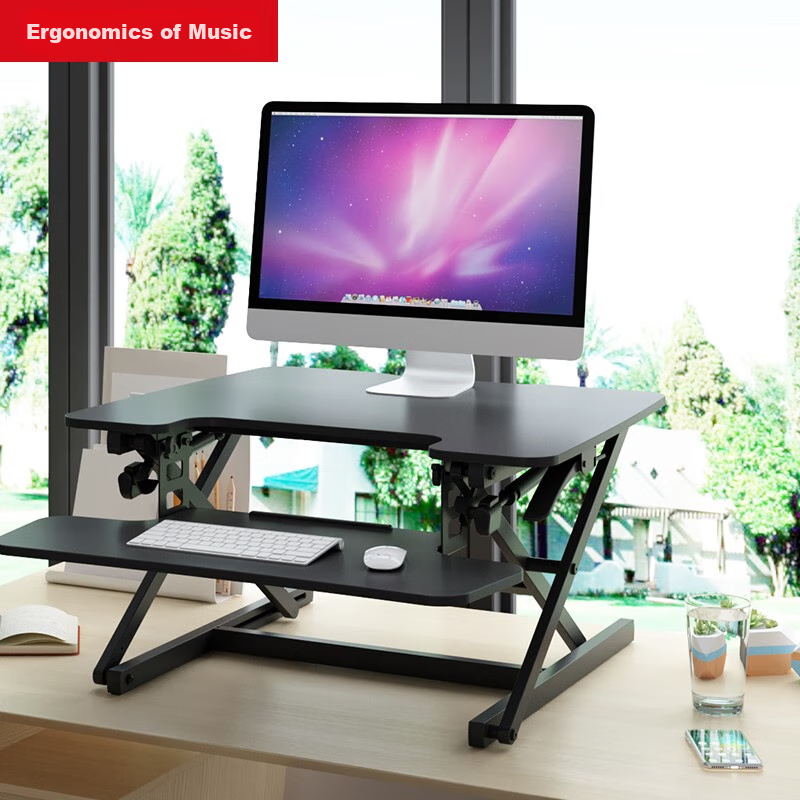 Loctek Height Adjustable Computer Desk Standing Desk Converter Home Folding Desk for Alternating Sitting And Standing M2M Elegant Black