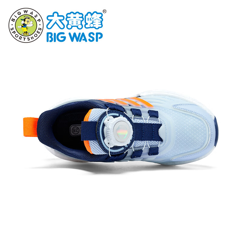 BIG WASP B-01226622