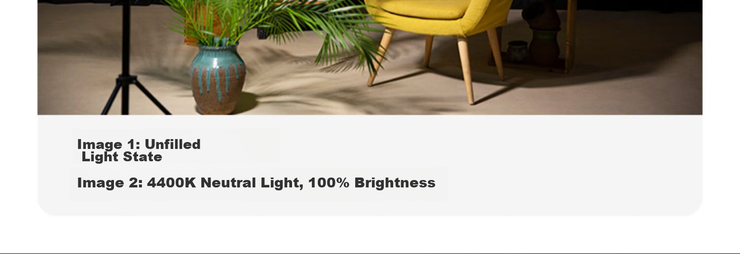 Sidande LED 520 Fill Light, Handheld Photography Fill Light, Portable LED Panel Light for Cameras, 37W Dual Color Temperature Adjustable, DSLR Shooting, Restaurant Food Photography, Portrait Lighting 10