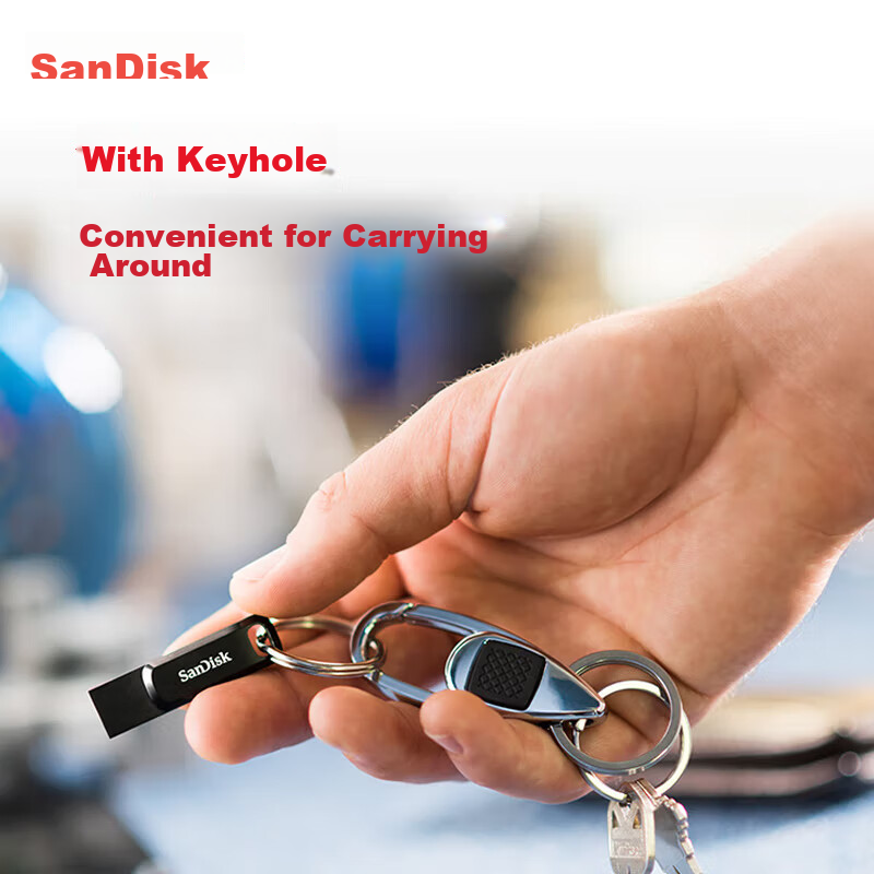 SanDisk (S-01198676