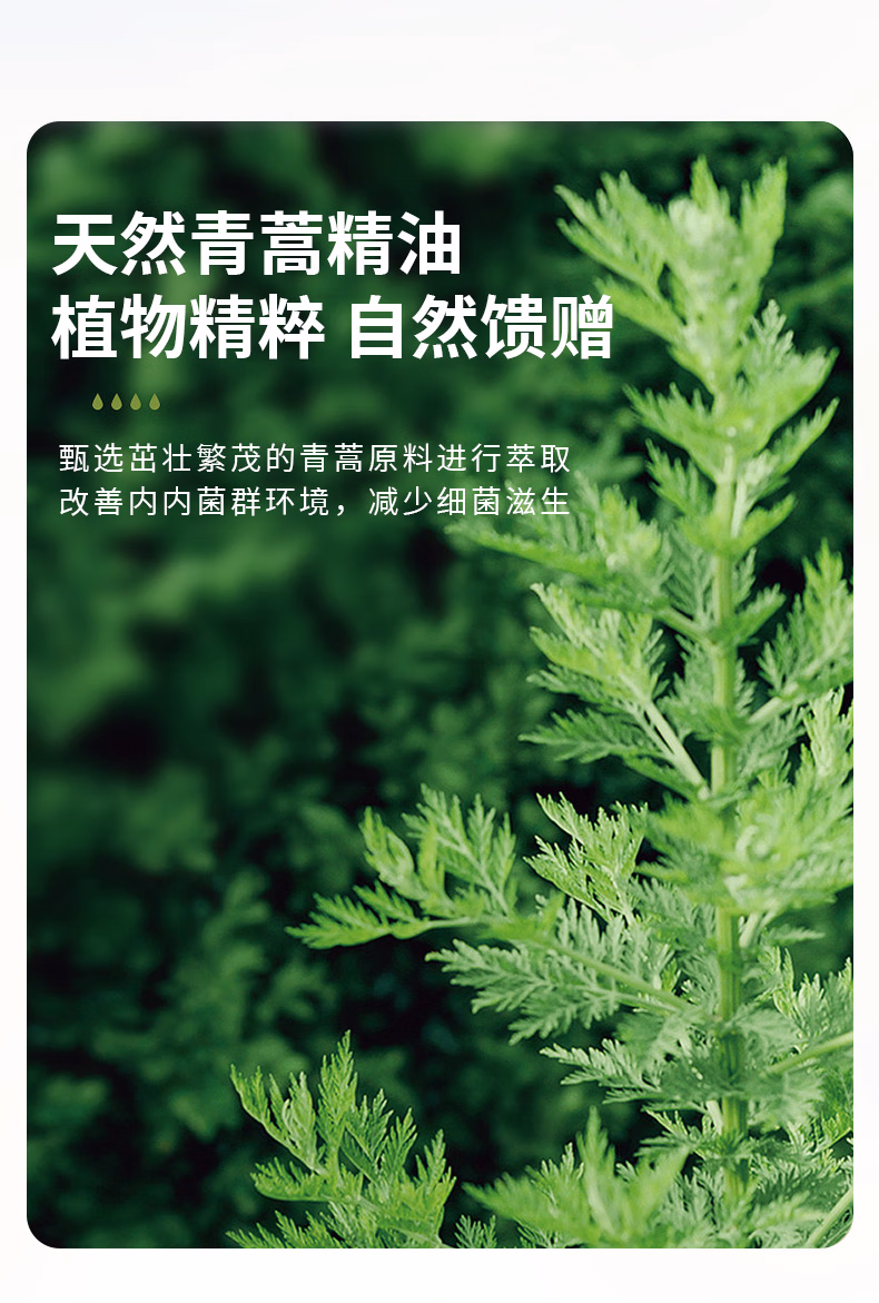 详情图.png