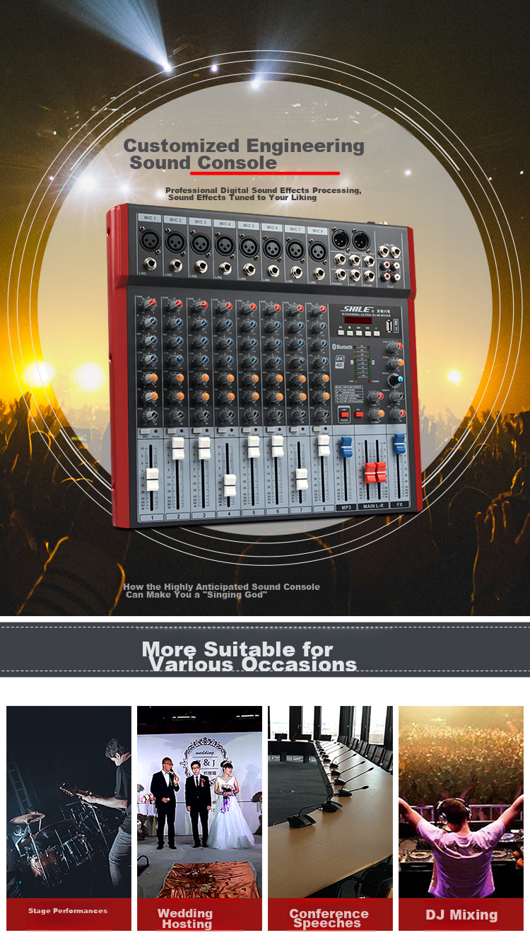 SHILE Tianqin No. 8 Professional 8-Channel Mixer with DSP Effects, for Stage Performances, Weddings, Events, Conference Rooms, And Remote Video Effects, Front-End Reverb Processor 3