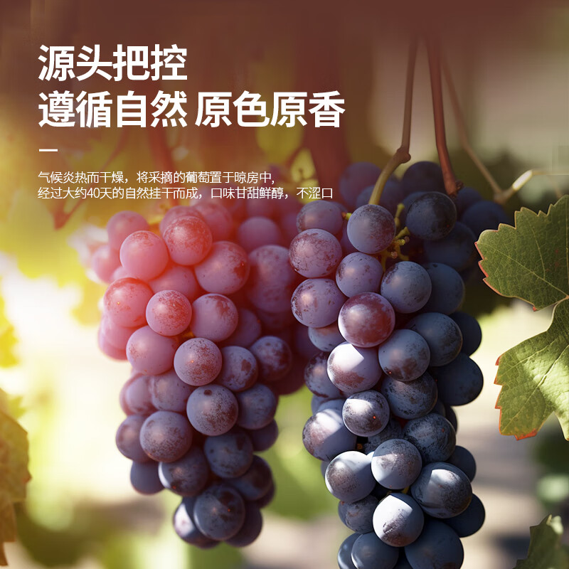 南疆巴朗 葡萄干特级黑加仑250g大颗粒提子干新货小包装年货