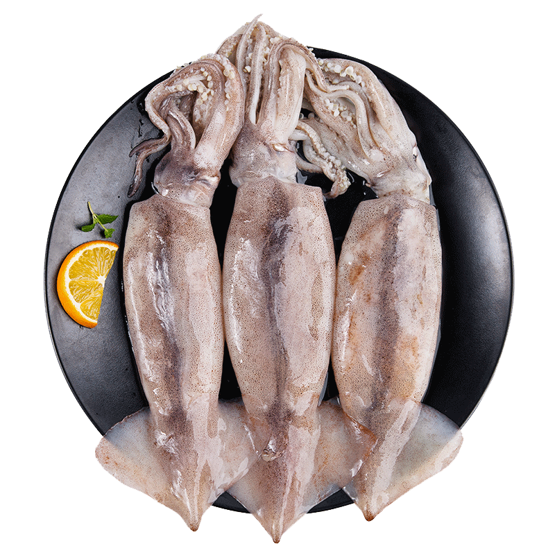 美加佳鲜冻整只大鱿鱼（2-3只） 净重550g 整条鱿鱼 深海捕捞
