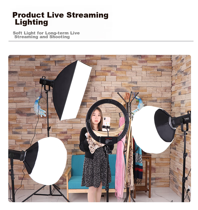Hakutatz LG-300W Deep Softbox Kit, Live Streaming Fill Light, Professional Photography Lighting, Soft Sunlight Lamp, Continuous Light, Children's Portrait Photography, Video Portrait, Streamer Clothing Light Box Equipment 8