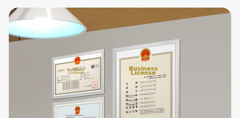 XYBP Business License Display Frame Wall-Mounted Magnetic Holder without Drilling, Certificate Showcase, Business Permit Display Stand (A3 Silver) 16